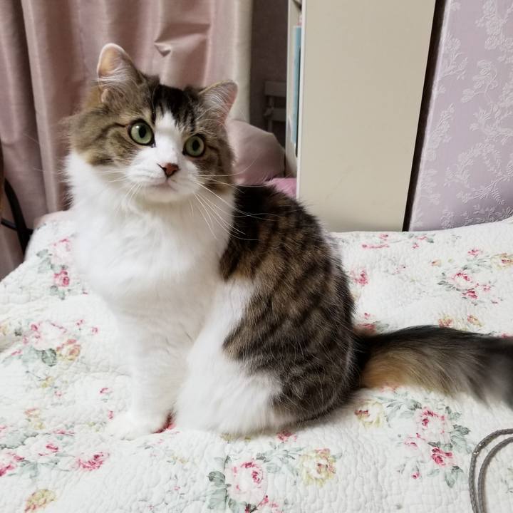 2025b485 2845 4449 b74b de24e1d26695 1539955696775