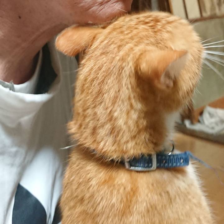 2025b554 dda4 4b1a 95f3 9e4c20902ec3 1600027348882