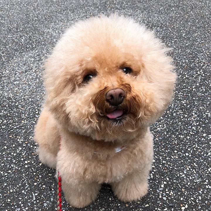 2025fd1b ceb8 4d3f 8cf3 cf0b5b7a59e5 1525747796116