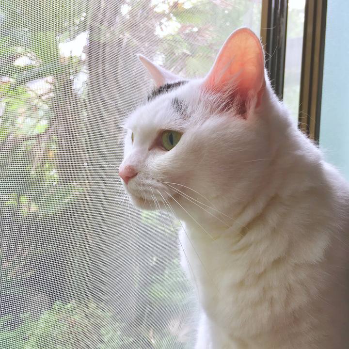 20262b46 59de 4a15 a2f1 0884fe1b4b99 1565669945630