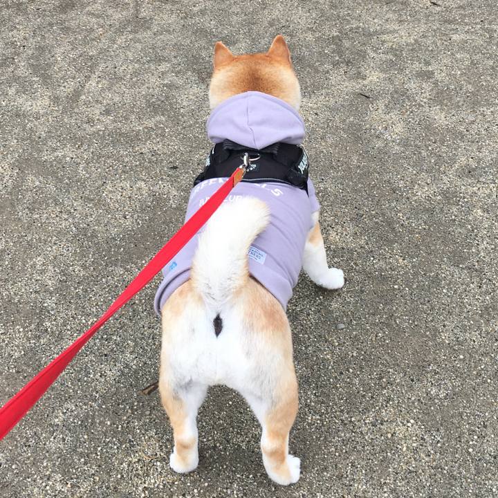 2026ab31 8abe 4b22 bfcd 9fac3894cda7 1583367060919