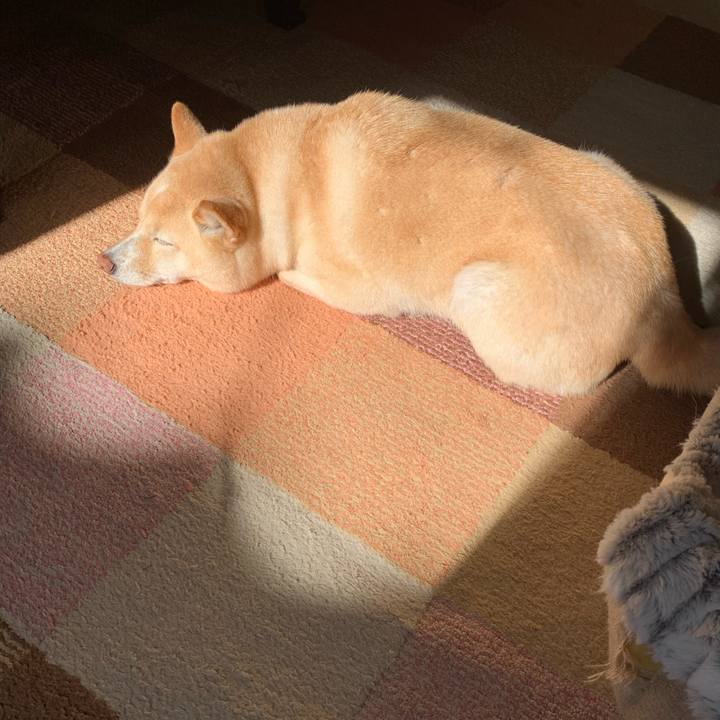 2026b233 1f48 457f 95d7 583c001f1533 1635988095853