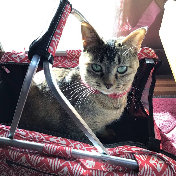 2026e01d b367 4b9f 8056 9da42c720426 1611212926815