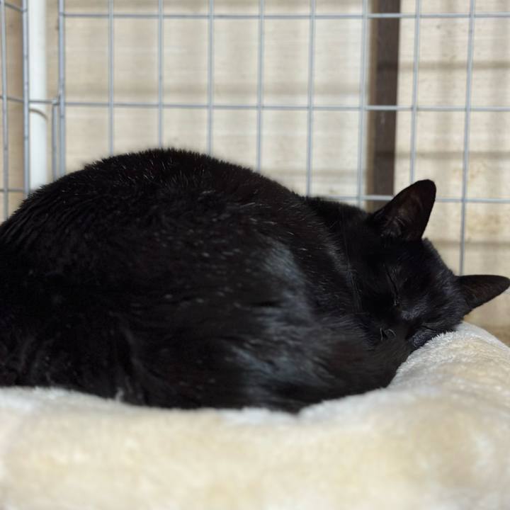 2026edc6 7301 4635 ba4a 2f22db478530 1674699586056