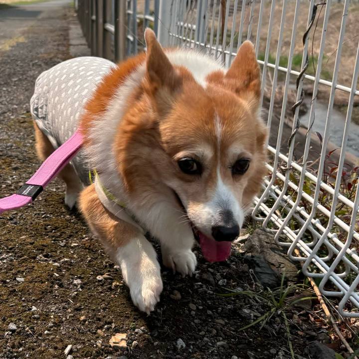 202713fe 6e7a 4181 98d5 ffc128c832d8 1742953031962