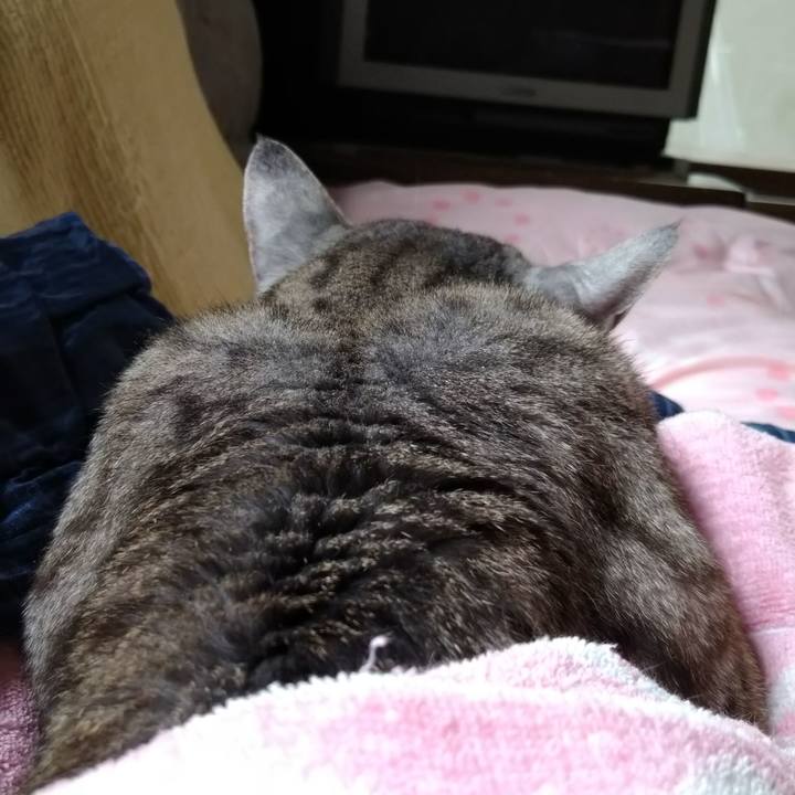 20273f17 a3dd 4e2b b337 39ce1c55fde9 1623058889734