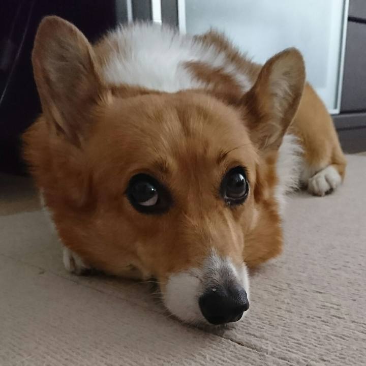 20274736 78d6 41c8 b342 1a801b95a5ca 1530513704612