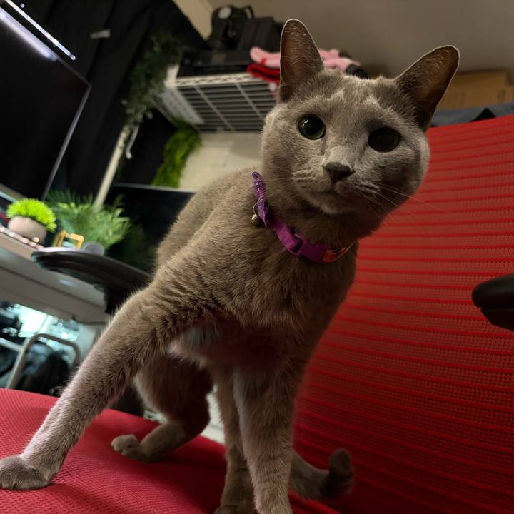 20275164 8052 4d1c 922c 537f8e4e96a6 1761524349400