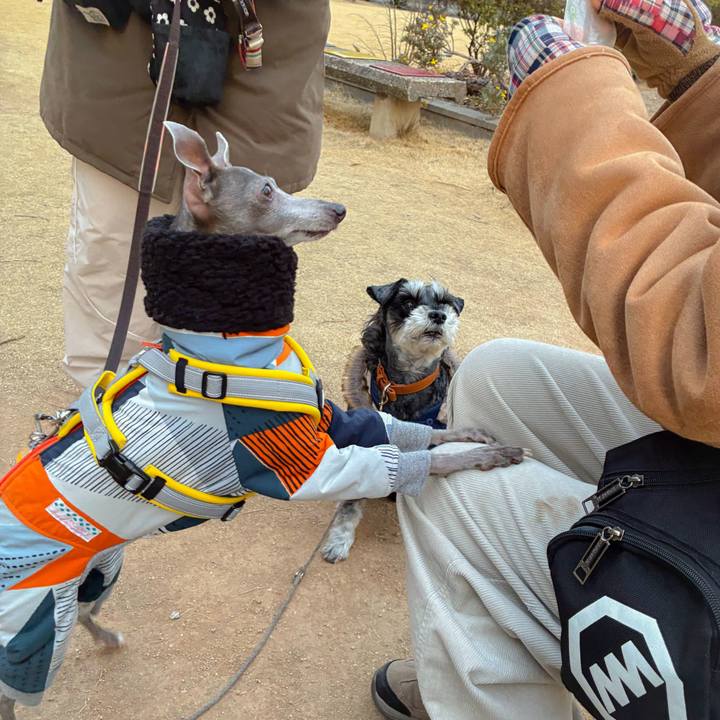 202775ae 2a5f 4b60 8c12 c158cad6732d 1770806836982