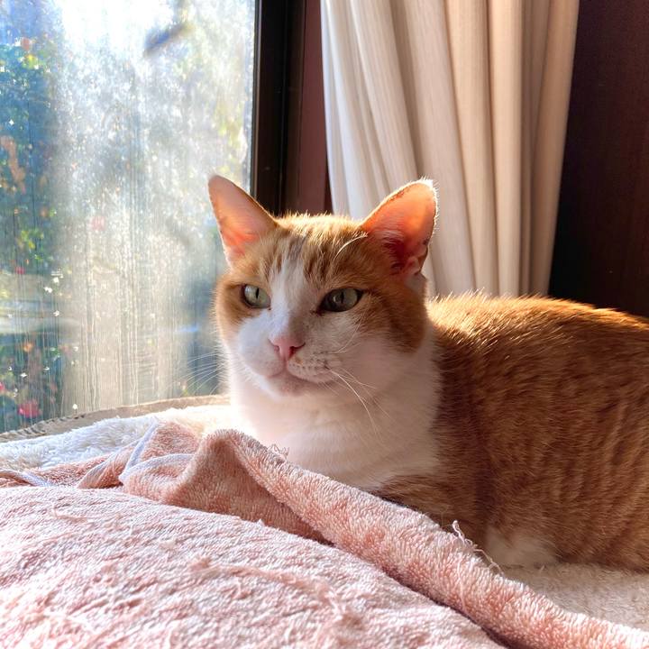 20278861 18de 41ef b62f a15a14d88c45 1668145962292