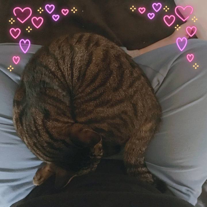 2027aace c8e4 41d3 90e0 1704b9859939 1555025098093