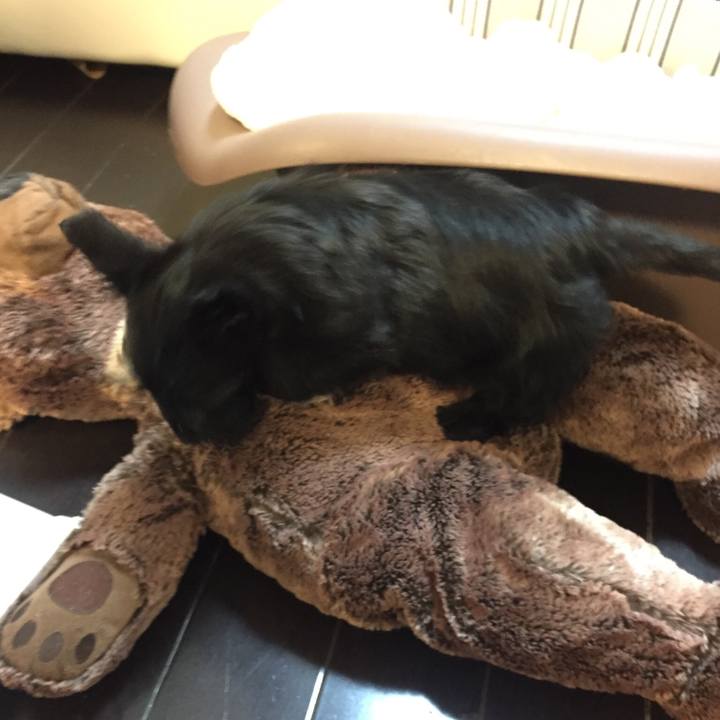 2027d6f1 f8d4 4201 a0ec 1bd95a41f34e 1558794209023