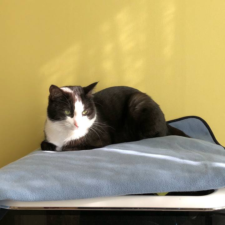 2027f0e6 4ff1 4fa9 b1f4 b8d333a7200f 1514640585474