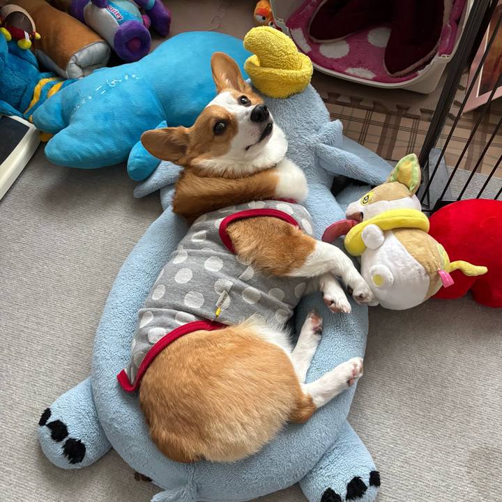 2027f568 46ff 40e8 9436 dd51c15ae32e 1764740332192