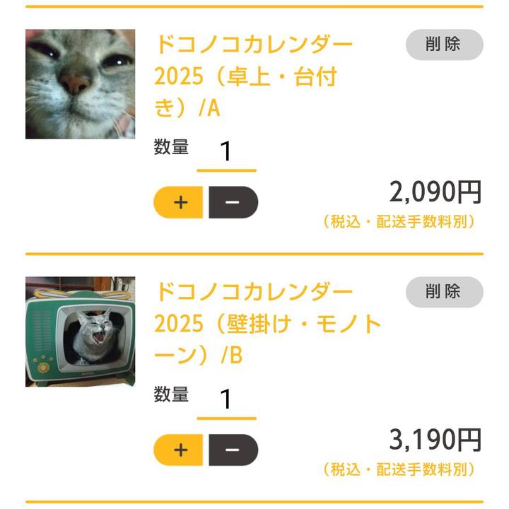 202802ff 4521 405a b2c2 8d6226ea6382 1731192966797