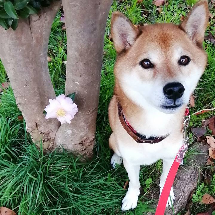 202809bc a9e4 4e13 b901 461fc8b75a22 1668003983373