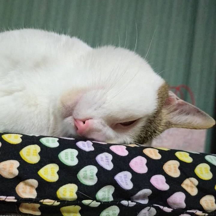 202816bb 4dc3 4b2b 862e c2c042eb5dec 1725284076282