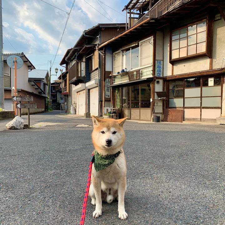 202839b9 1d1c 41a3 b433 31a063196fb3 1681635110435