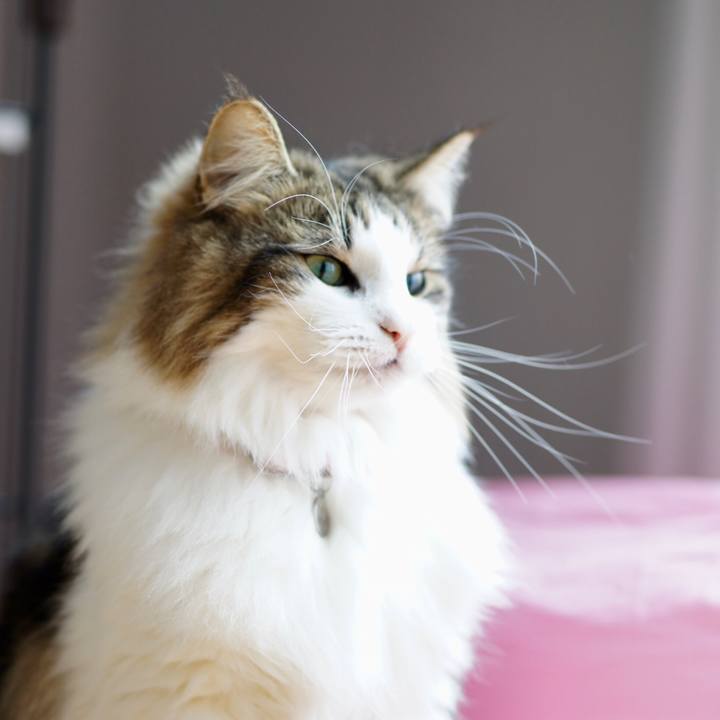 202849a0 8ad1 4564 bc84 55bc80ae6d7f 1545566885879