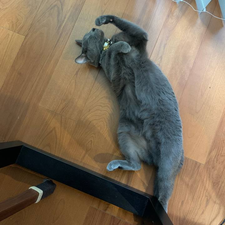 20284a53 d5ff 4fc4 9732 f1846447cbc8 1629622122331