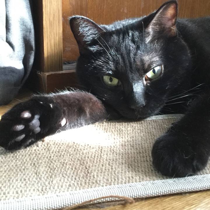 20284daa 3502 4513 9bb3 ed6839883c83 1597660996845