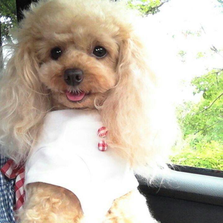 20285885 522a 4bec 804f 250cda0c8663 1532861569191