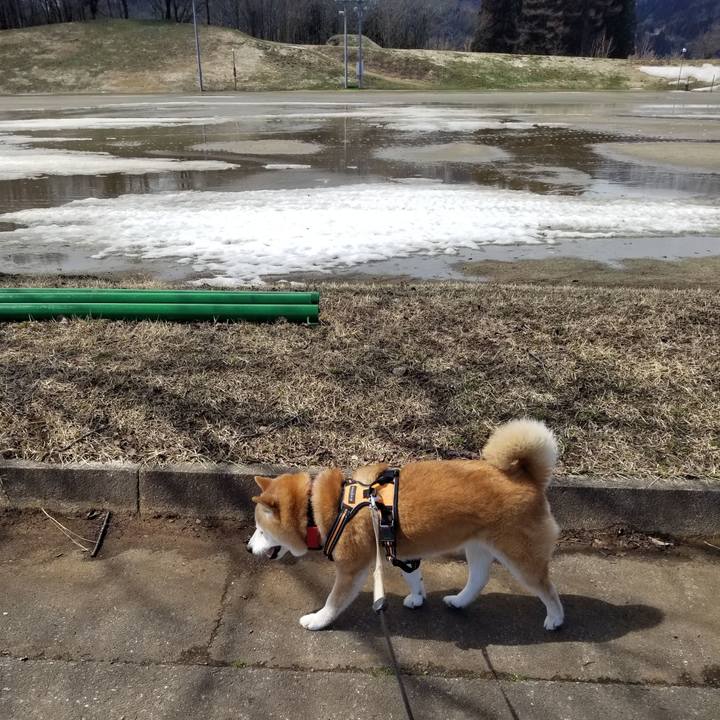 202866be acea 4a74 a4a0 a5b65a8f0b4c 1711685397173