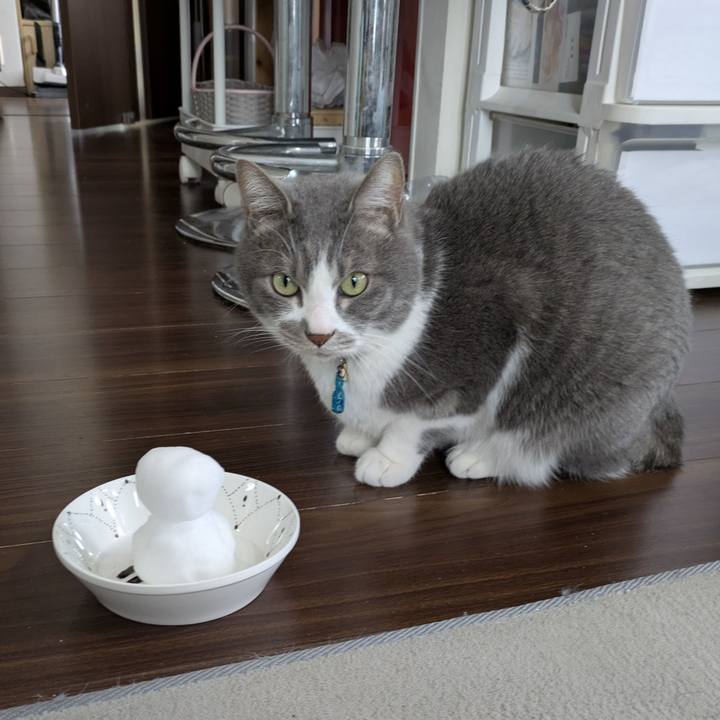 2028804a 6673 40d5 9dee 9194dc1671b2 1770517920086