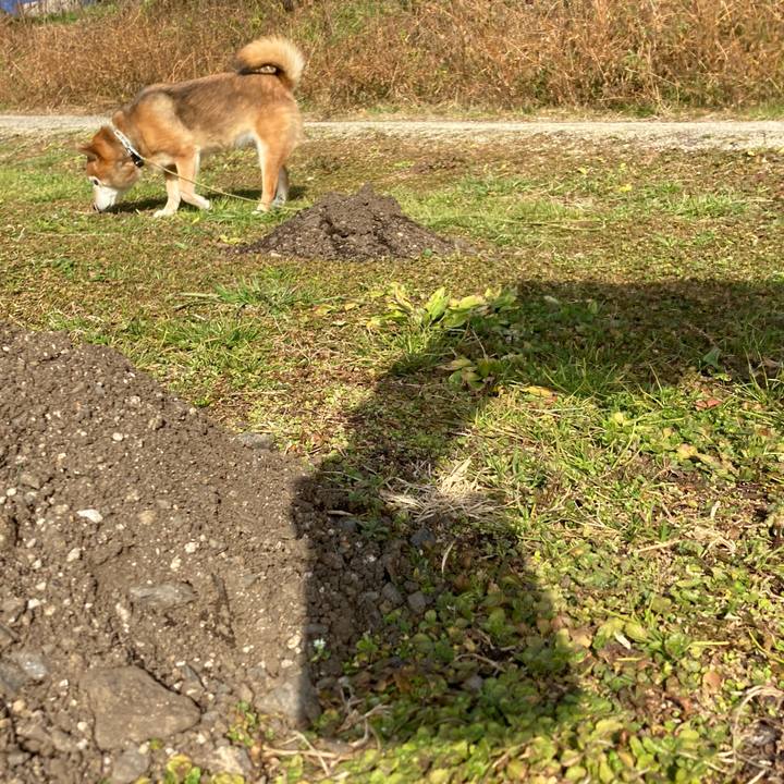 20289976 5bfe 4b96 99fc 9185f2a23269 1674024041920