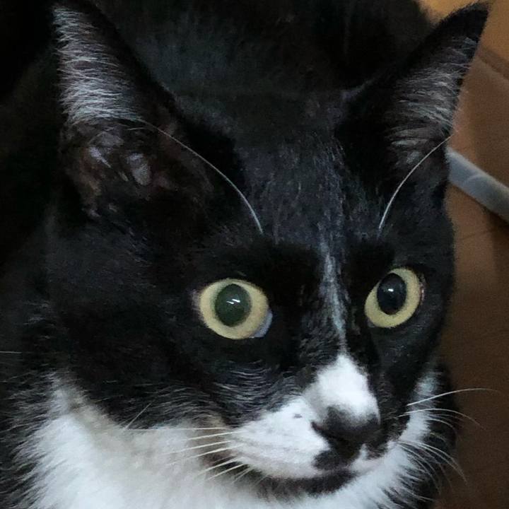 2028b917 271c 42a2 a6da 321c82a6d95a 1601701778651