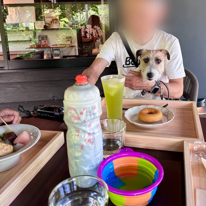 2028bf33 2abf 4729 92fd 9b767c734b08 1717307168853