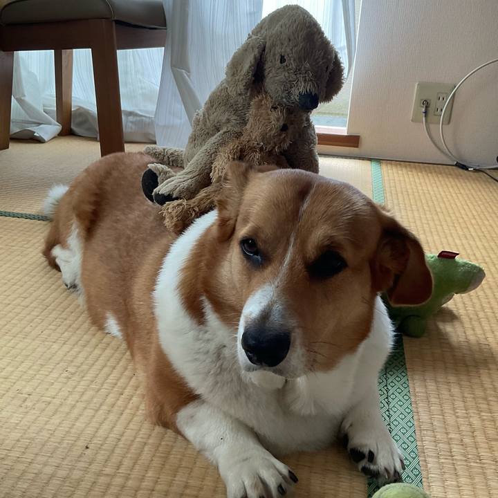 2028ec13 1456 4cf3 89b8 3a8331bb4fc3 1717375764933