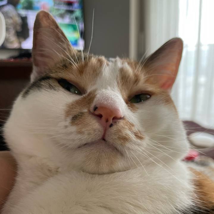 2028ef9d 9f2c 4b55 82c8 46e67e6571e9 1654397953962