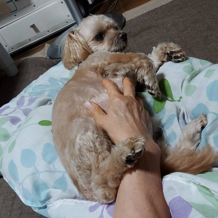 20290e3f 15ff 4457 964d 8e599b7b2c9c 1723706275683