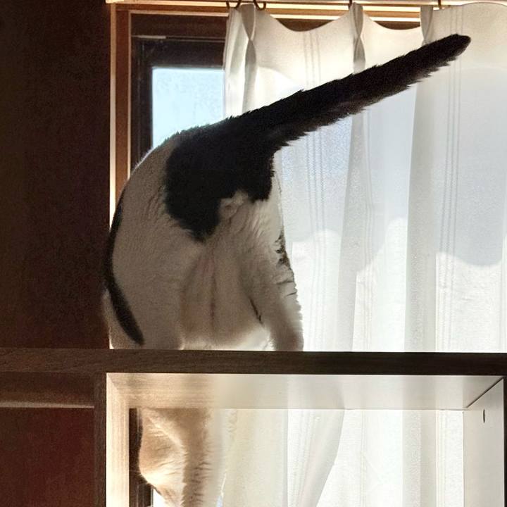 20291b0e b100 4584 b5c1 5d9ecec76317 1774835585133