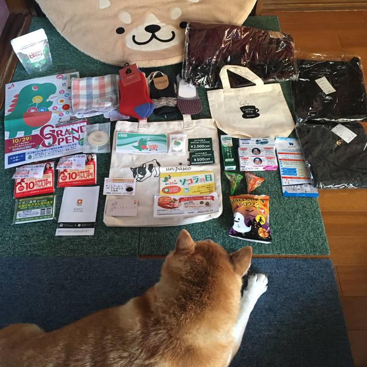 2029326c bd7e 4efa bf1d 6eb53a508d38 1635499527456