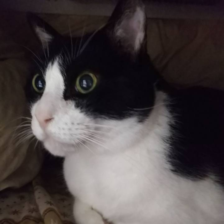 202969d7 6cdf 4f25 b815 f5e2196bff37 1574373236949