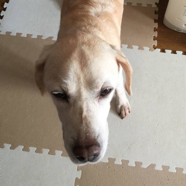 202971c8 bcd9 4dec 89a5 8c8f0cad52c1 1537232397016