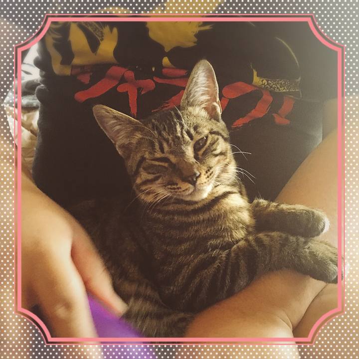 2029c19d 0707 4dec a246 675e2ee268e6 1542516515423