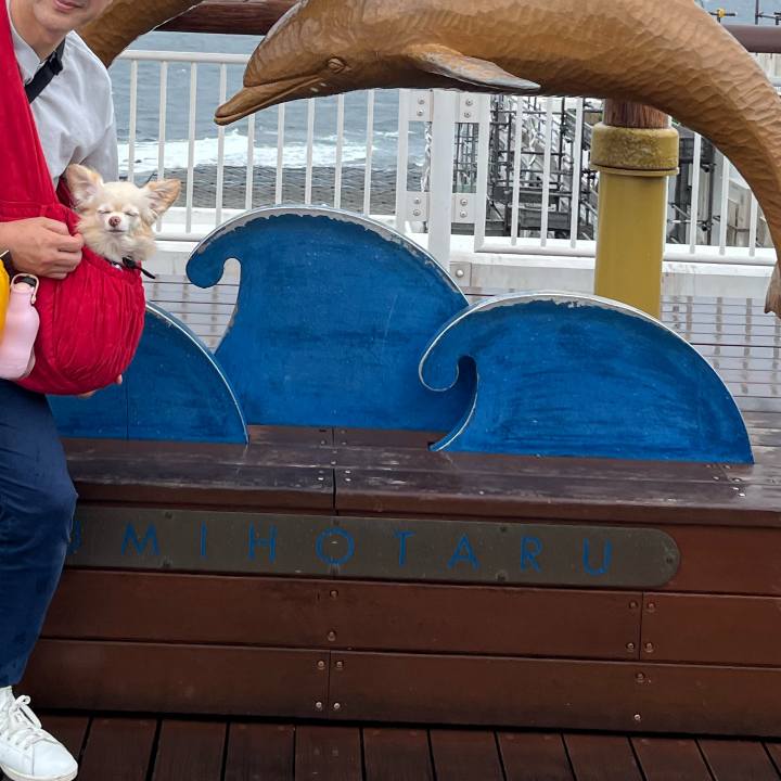 2029cb61 6276 4e83 baa4 89ada46c0473 1754889105341