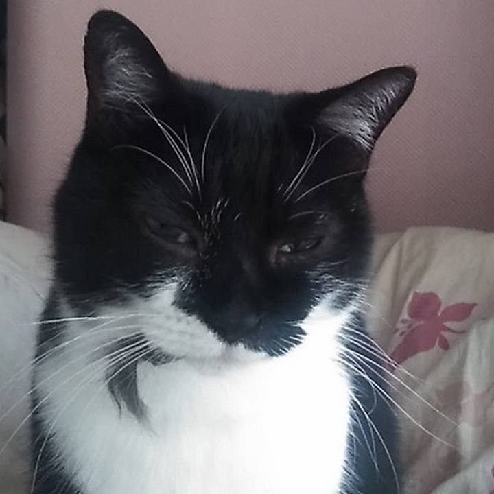 2029dc11 1577 4bfa 828e eda9ab26aa6d 1573562346066