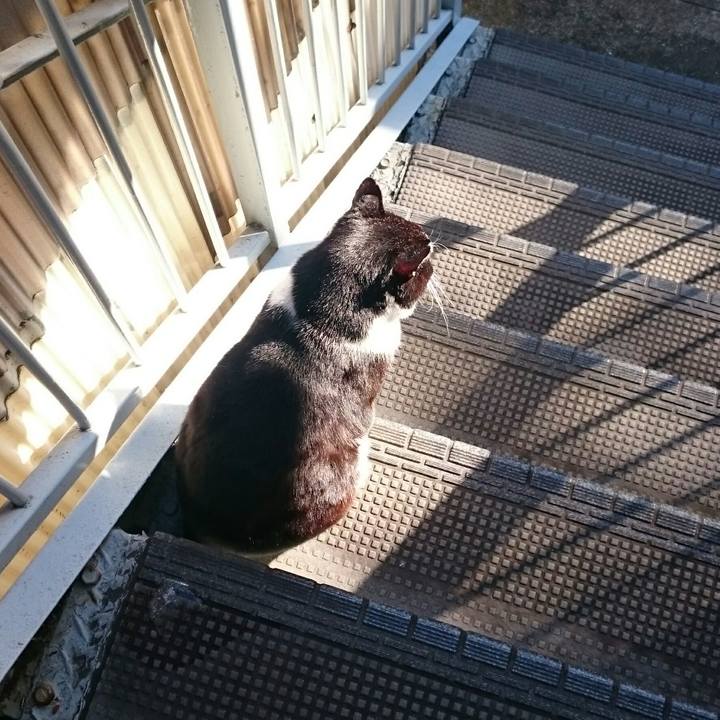 202a63e3 a28a 4471 836b 9933ef605bf4 1517014848708