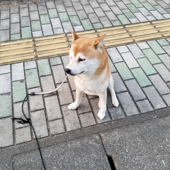 202a80cb 4d8d 44c7 8f93 2b16145cbcdf 1569486383523