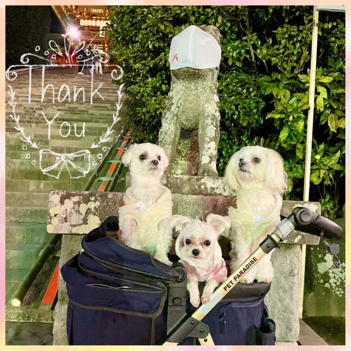 202a8d72 84f7 4f19 9504 1ceb0ee32b1c 1640951613388