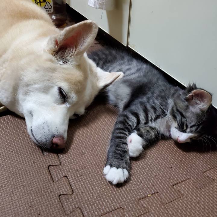 202a9de6 d945 436c 84c9 2b7907870855 1629201372497