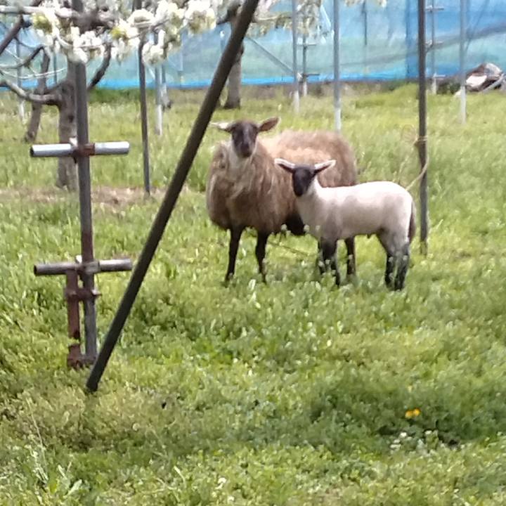 202aa1d6 fbbd 4339 9888 c908f241812e 1682136286173