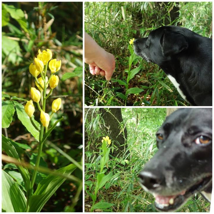 202ac28d 0ed4 4175 b351 b3acfce6bf7f 1650848451984