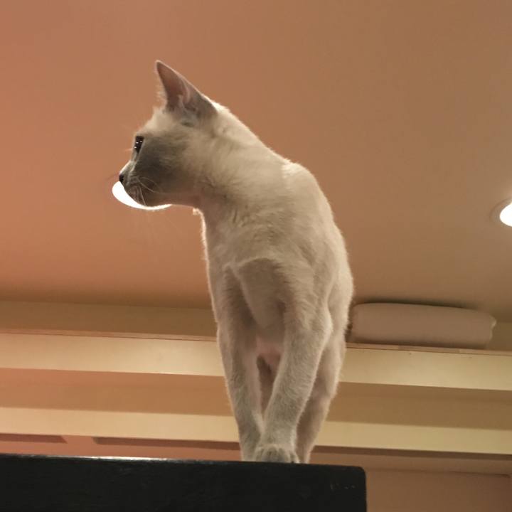 202acc69 802c 4d93 a250 05da7cd255bb 1563804324581