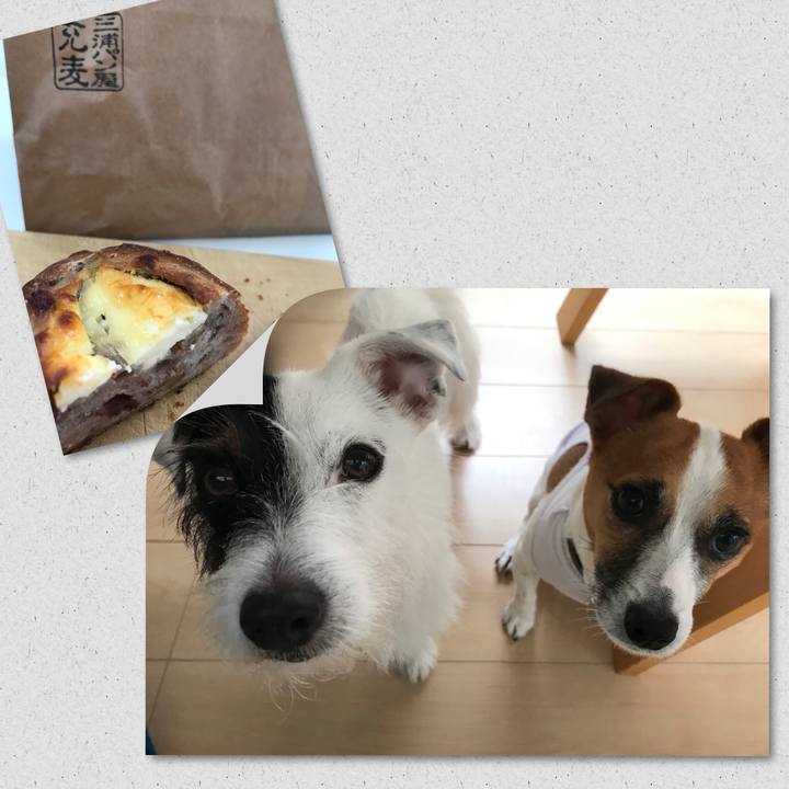 202ad921 8229 42eb b459 b6f6a9afde02 1508044729078