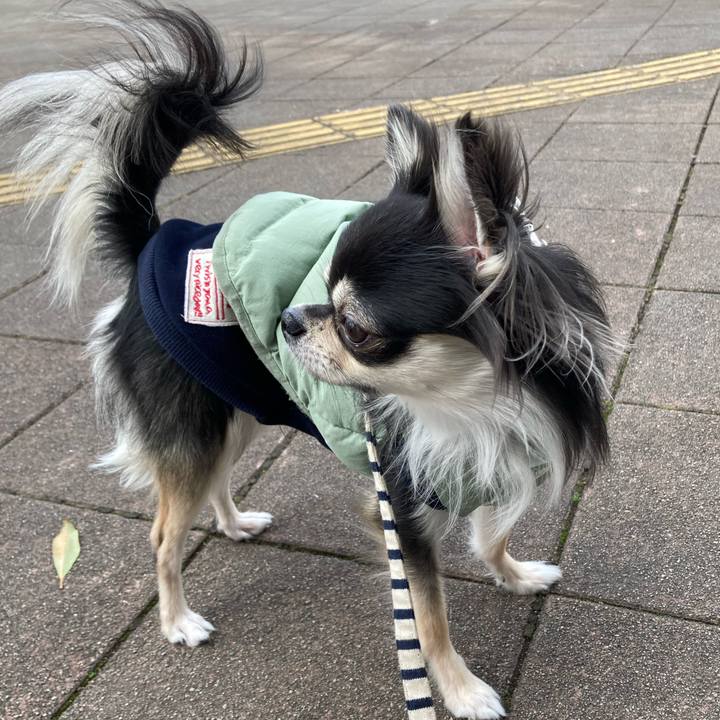 202af337 a6c2 4c20 bcc0 eae0ba0704de 1615093149473